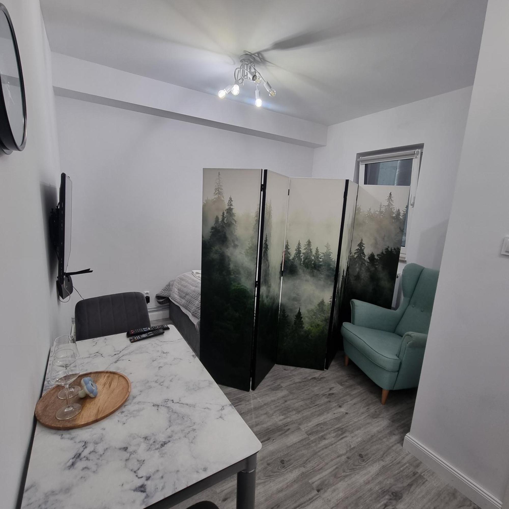 קרפאז' Apartament Chopina IV מראה חיצוני תמונה