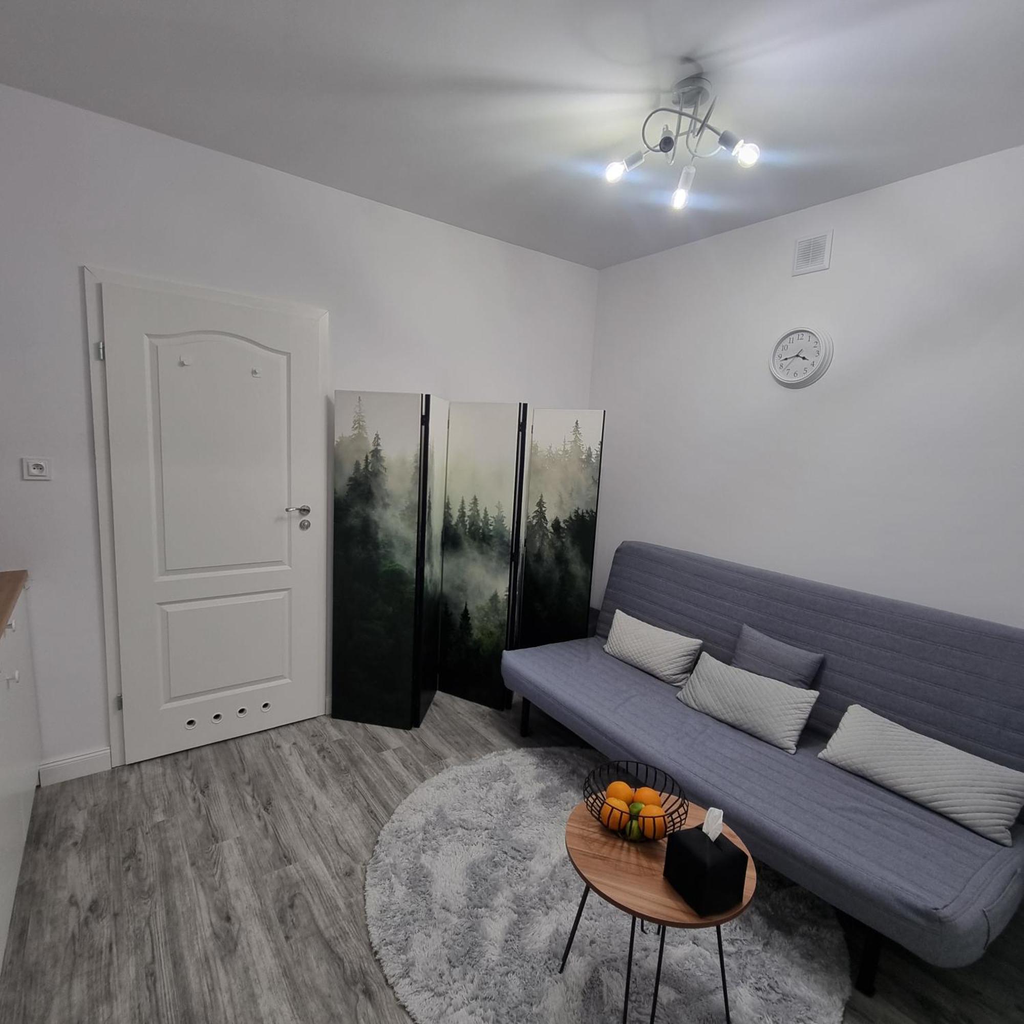 קרפאז' Apartament Chopina IV מראה חיצוני תמונה